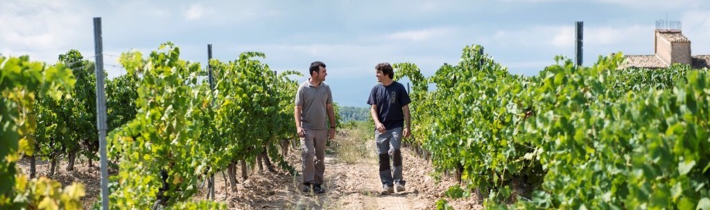 Brothers Joan and Josep d'Anguera walk through their vineyard in Montsant DO, Spain. / ©Cellars Joan d'Anguera