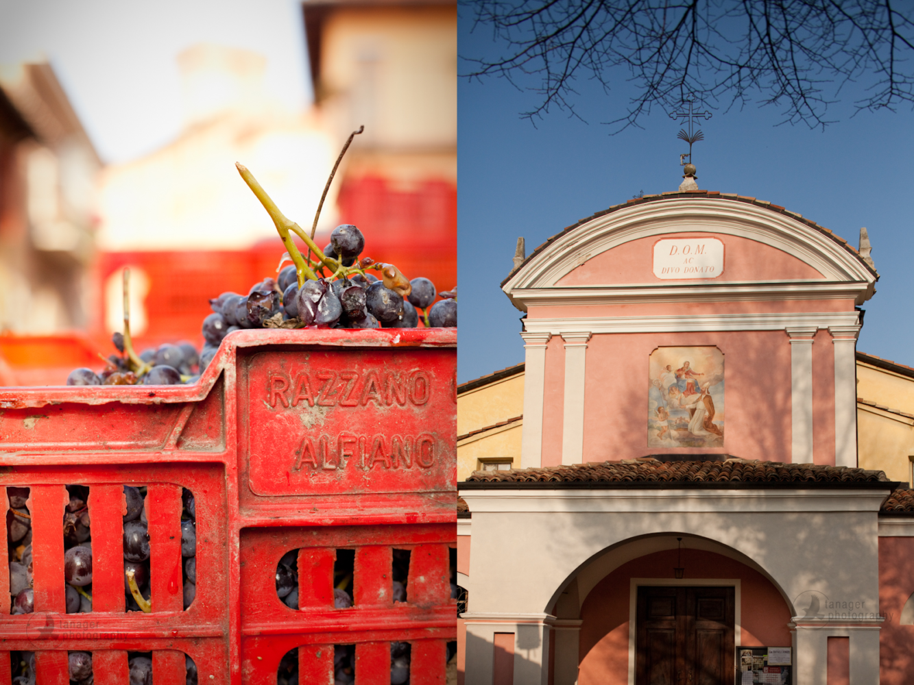 Barolo, Piedmont, Italy