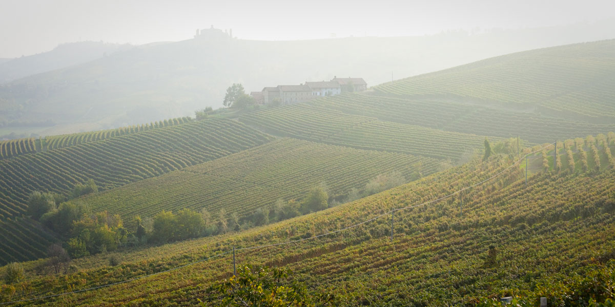 A view across the vineyards of Barolo, in the La Morra district, Langhe Hills, Piemonte, Italy