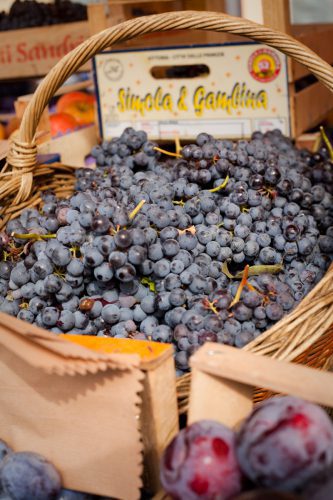 Dolcetto grapes for sale in Alba, Italy. ©Kevin Day/Opening a Bottle