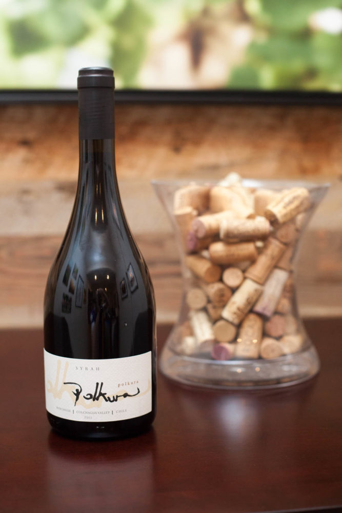 2011 Polkura Syrah