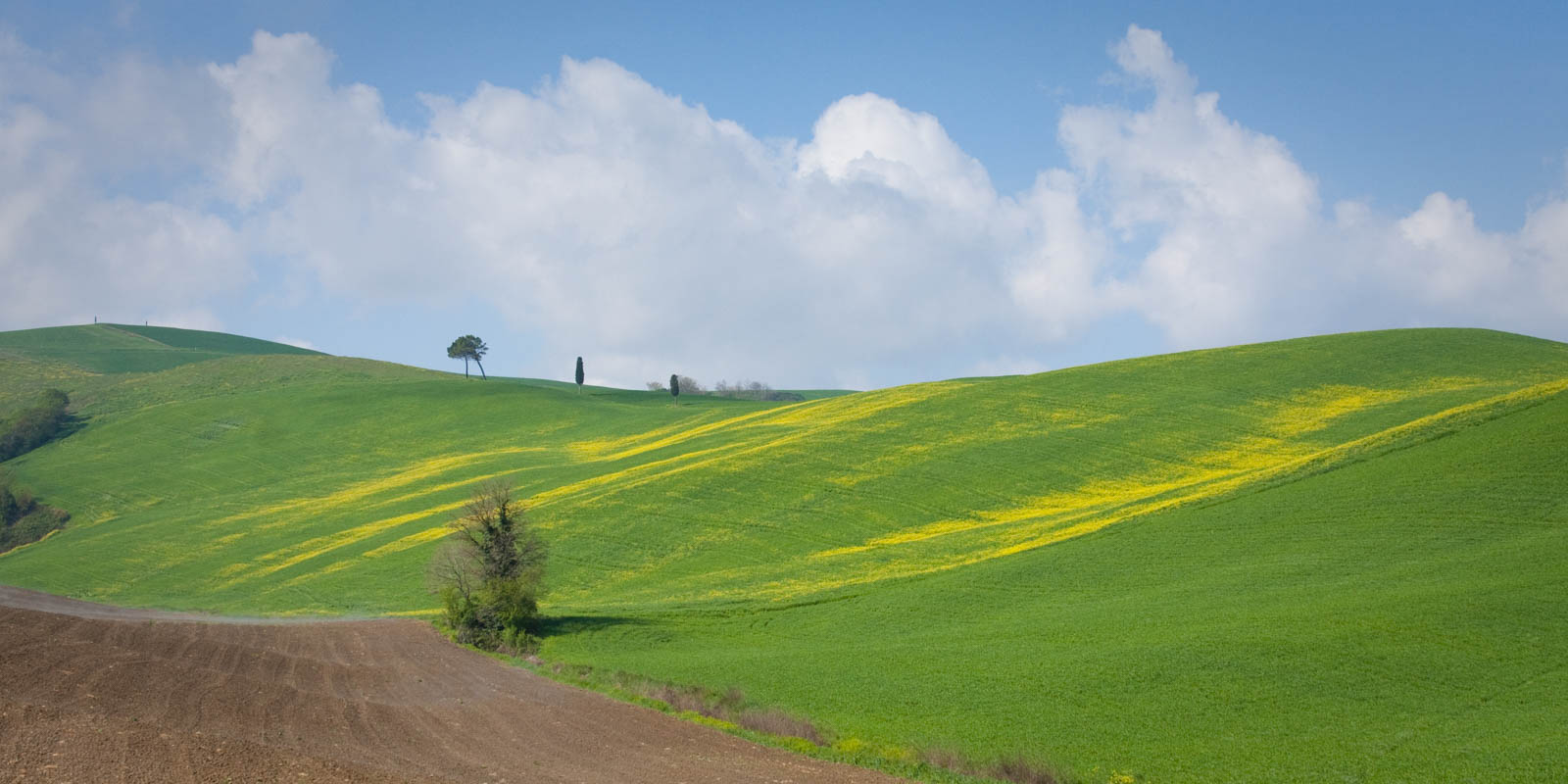 On the road to Montepulciano through the impossibly green Val d'Orcia. ©Kevin Day