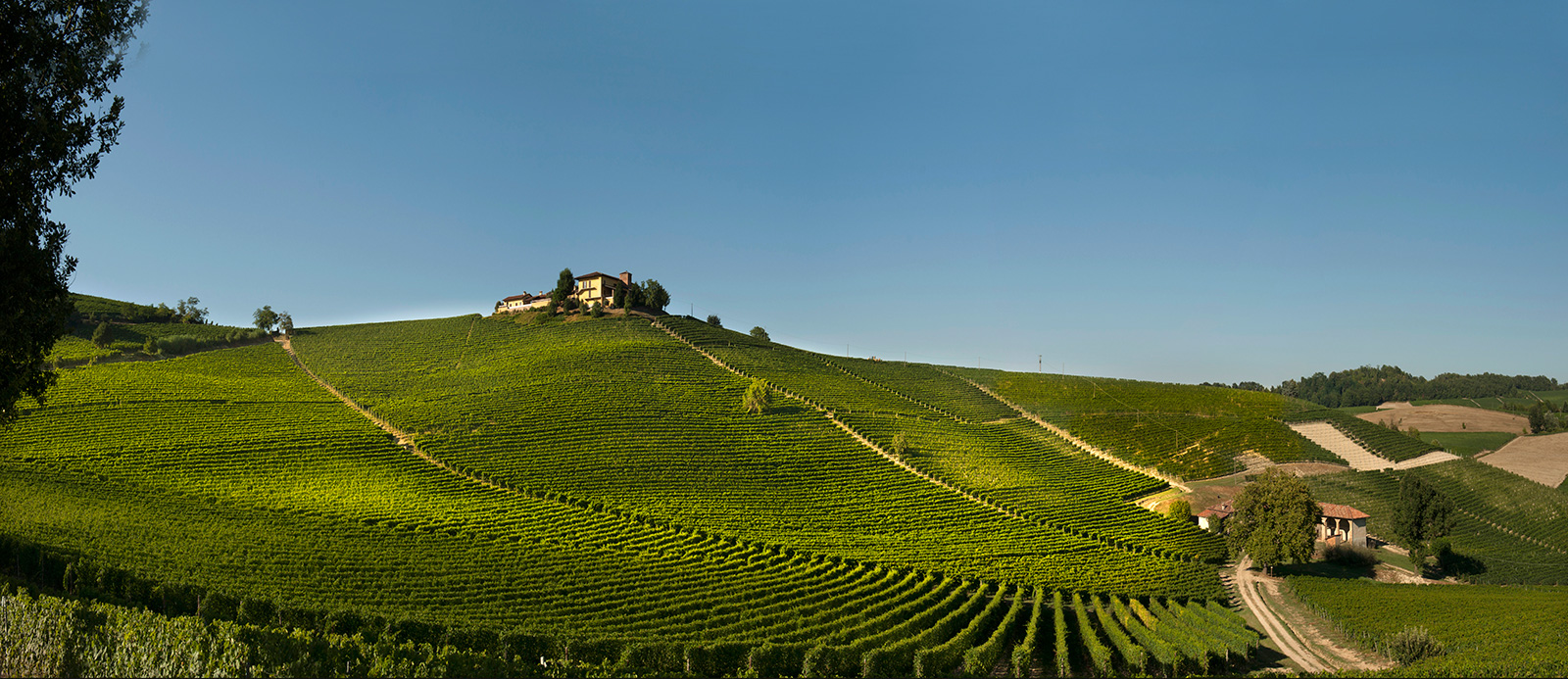 Elvio Cogno estate and Ravera cru, Barolo.