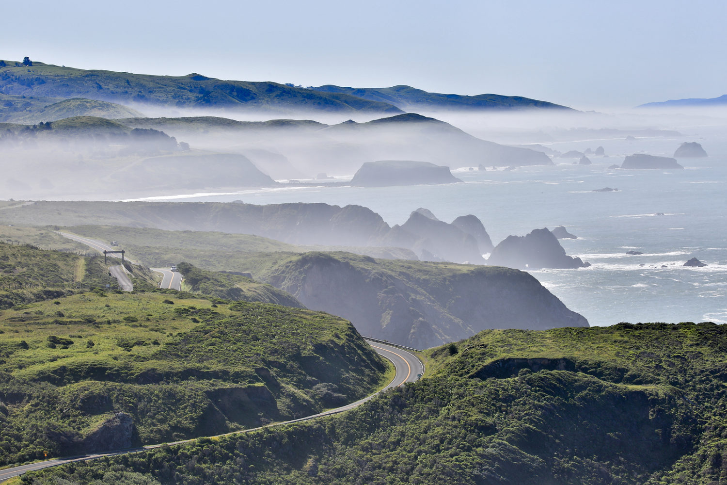 Foggy morning at Bodega Bay, Sonoma County, California's Pacific Coast