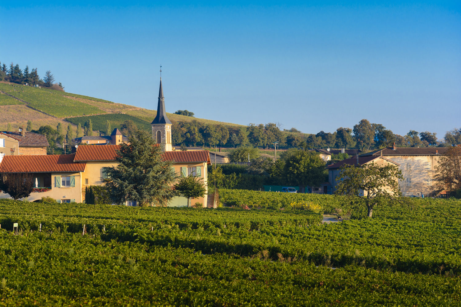 The village of Odenas in the Cru of Brouilly. Beaujolais, France.