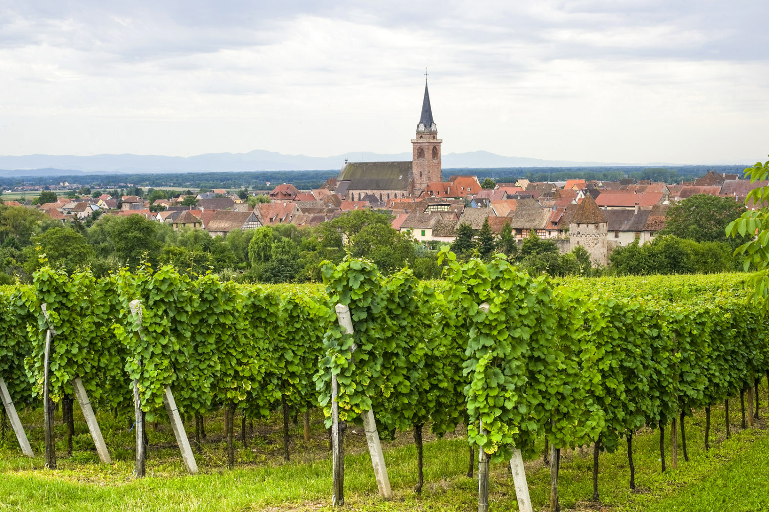 An overview of Bergheim, where Gustave Lorentz is located in Alsace, France.