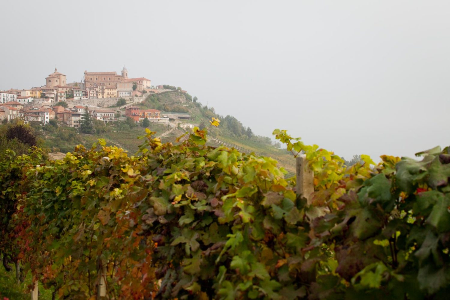 The hilltop village of La Morra, where winemaker Michele Reverdito is based. ©Kevin Day/Opening a Bottle