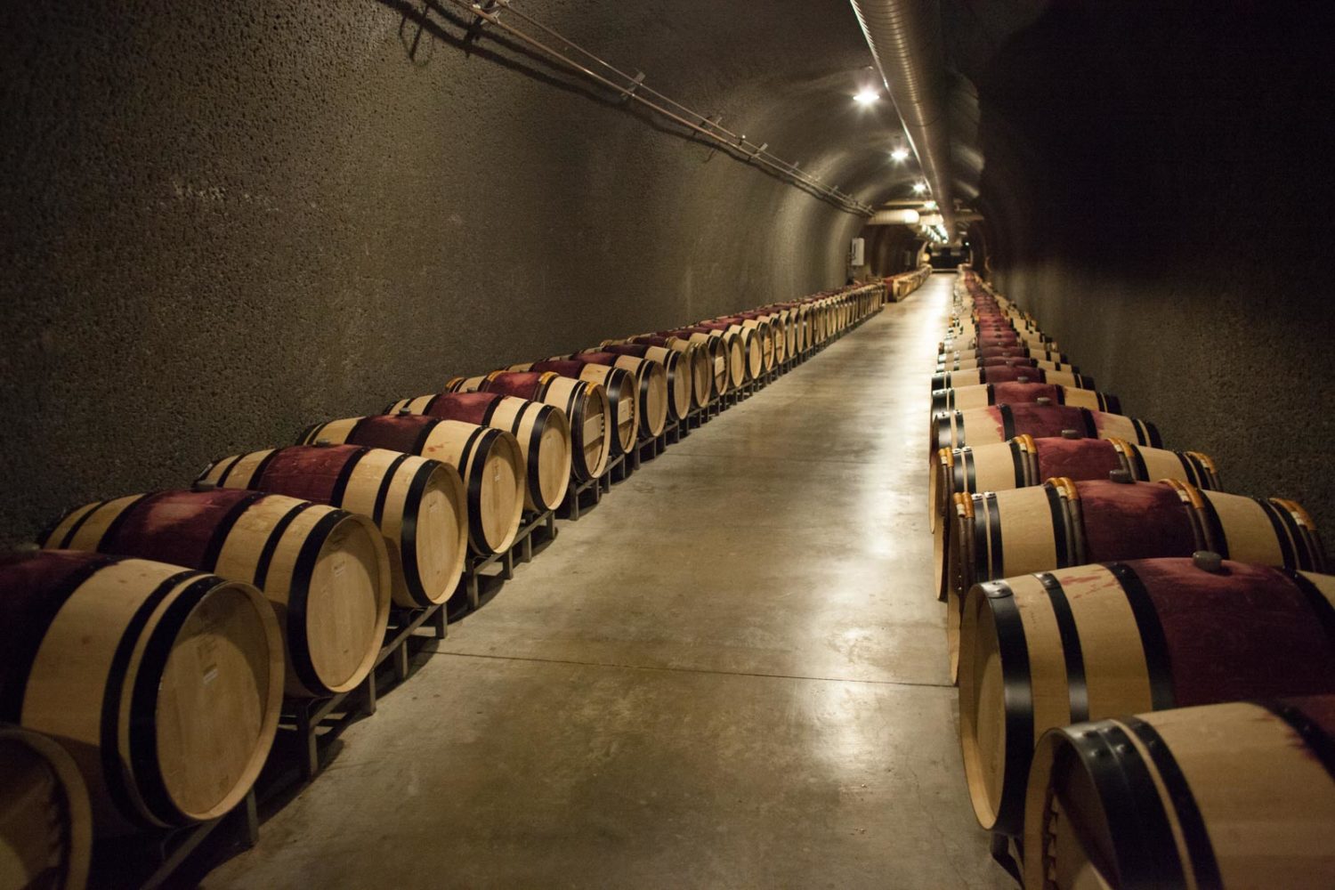 Cliff Lede Vineyards cave tour