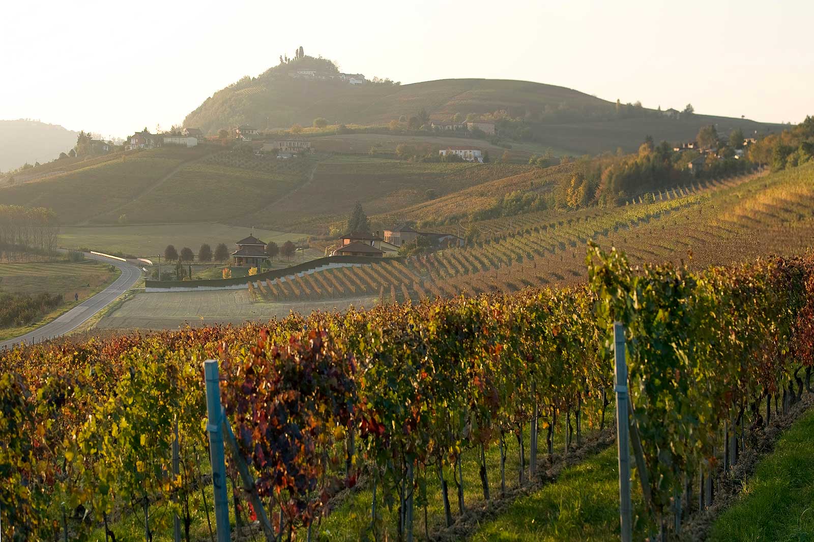 La Crena vineyard near Agliano (Asti), Italy ©Vietti WInery