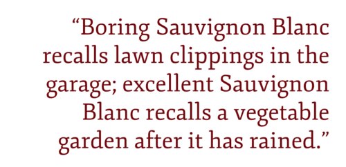 Boring Sauvignon Blanc recalls lawn clippings in the garage; excellent Sauvignon Blanc recalls a vegetable garden after it has rained.