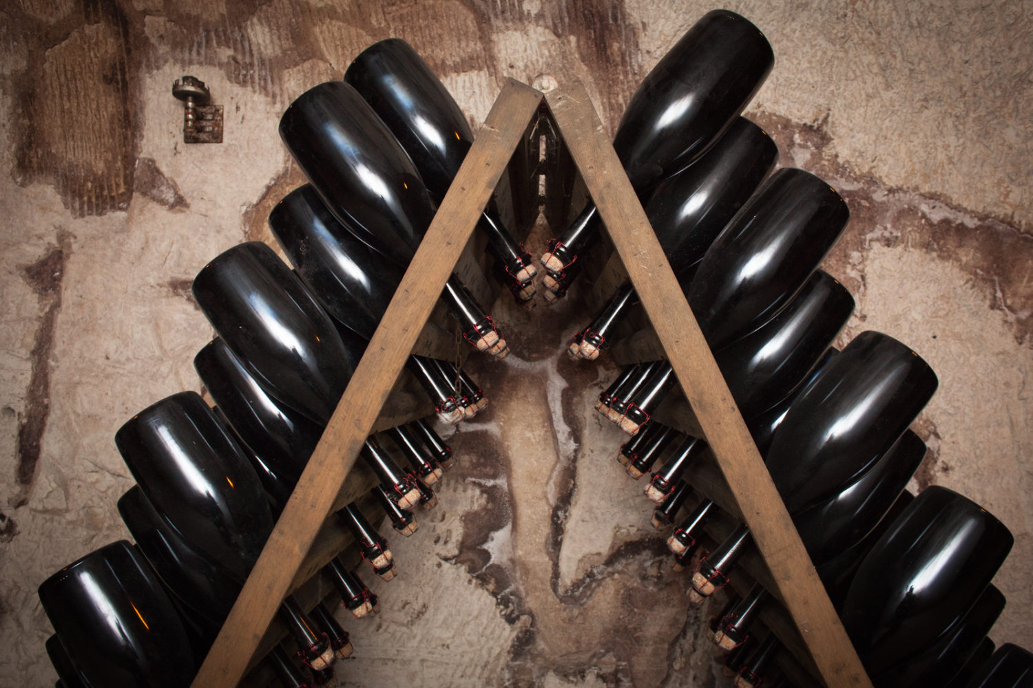 Bottles of Champagne in riddling racks in the underground cellars at Champagne Gosset. ©Kevin Day / Opening a Bottle