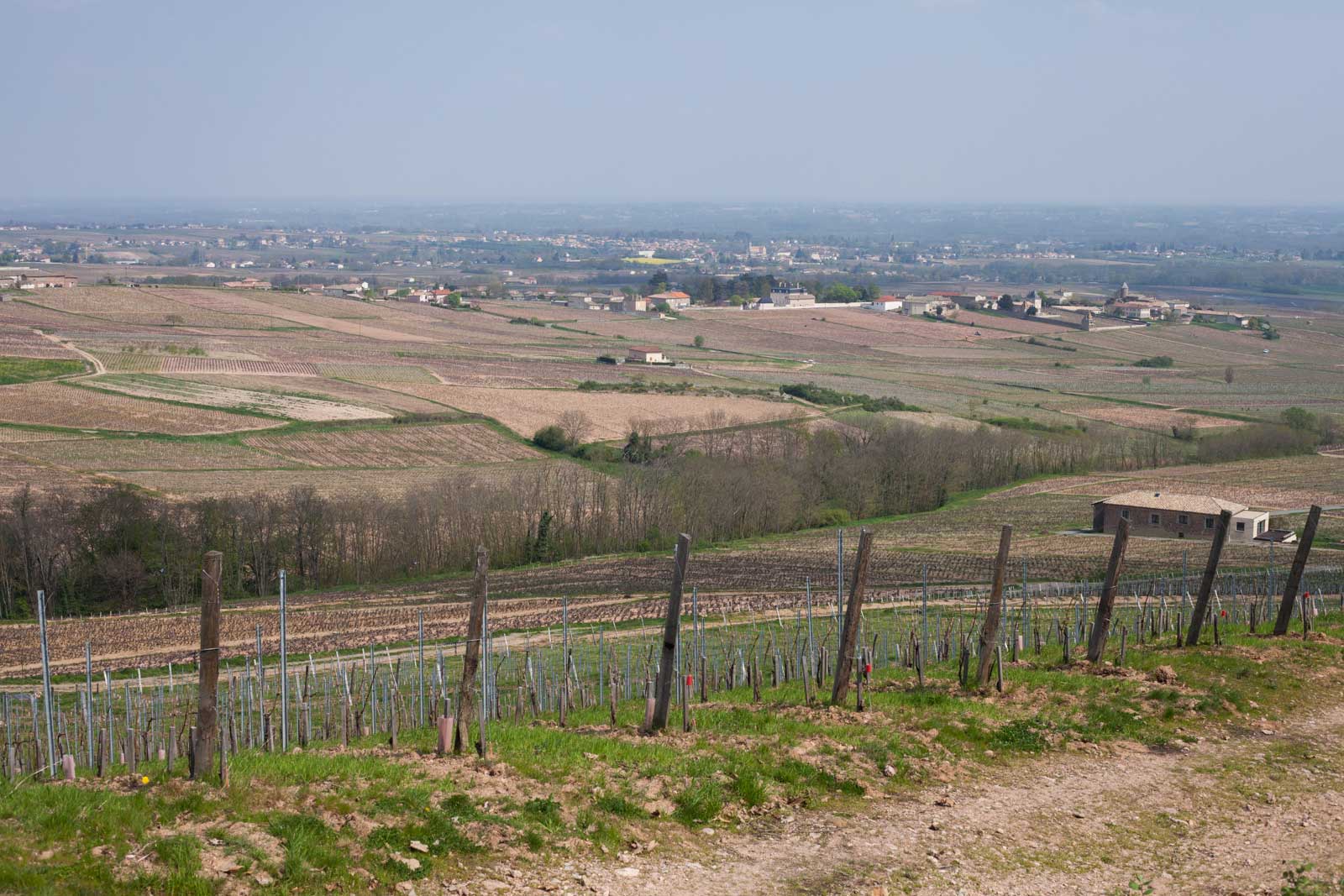 Meanwhile, Moulin-à-Vent is a long, steady slope that catches a hell of a lot of wine. ©Kevin Day / Opening a Bottle