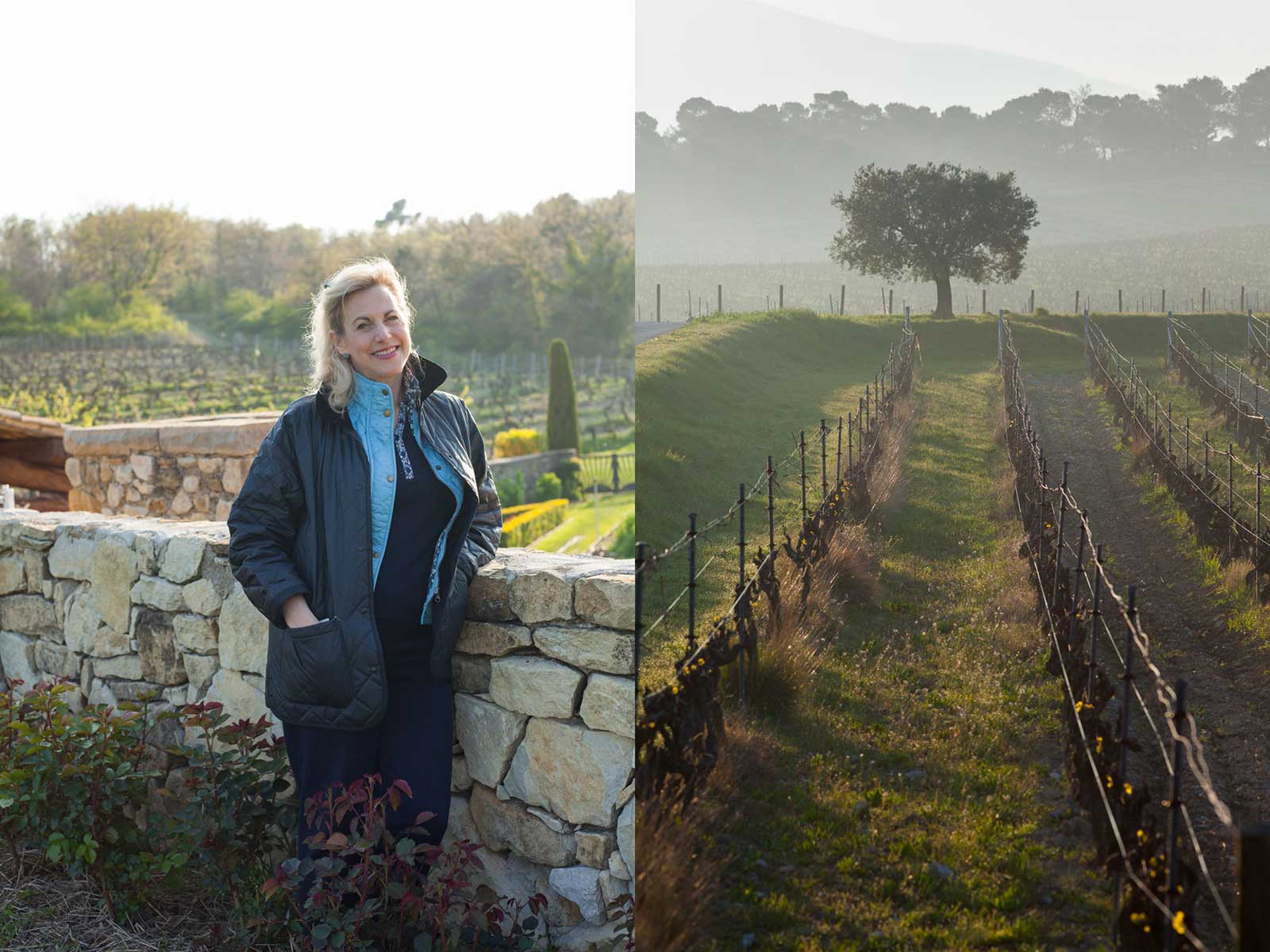 Nicole Rolet, the Principal of Chêne Bleu, and a lone olive tree in the Grenache vineyard. ©Kevin Day / Opening a Bottle