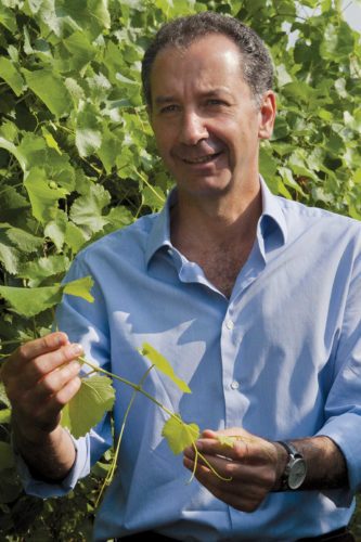 Winemaker Alberto Medici. ©Medici Ermete