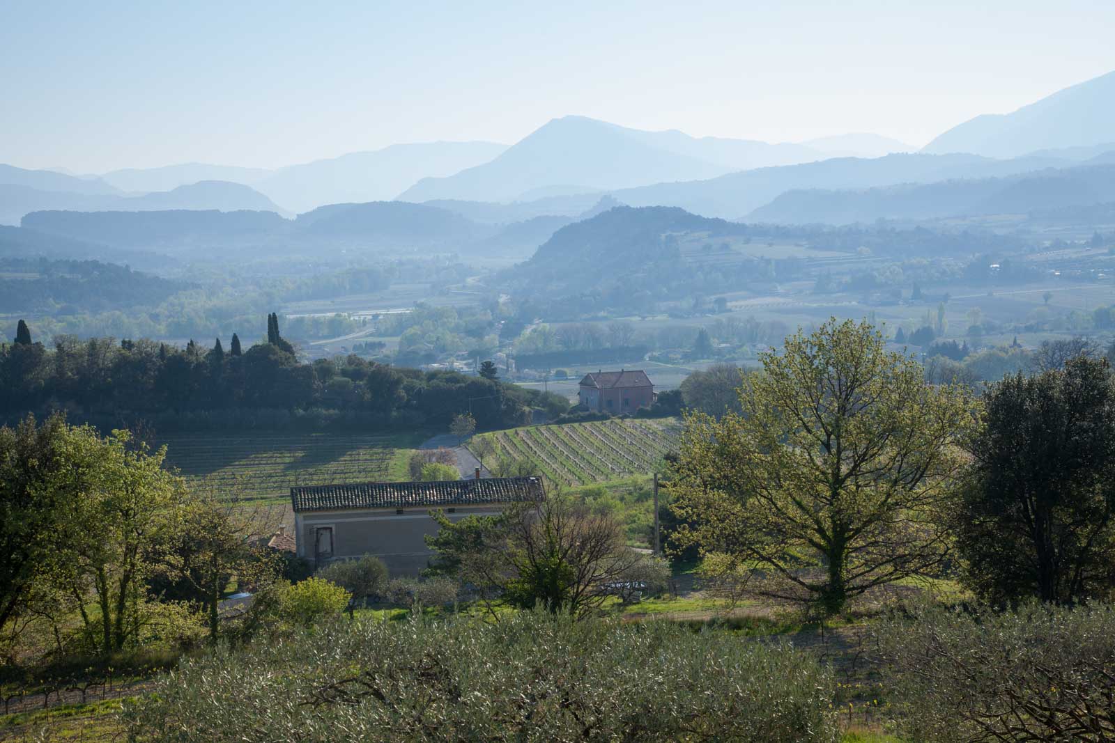 Provence, Provence, Provence. Can we go back now? ©Kevin Day/Opening a Bottle