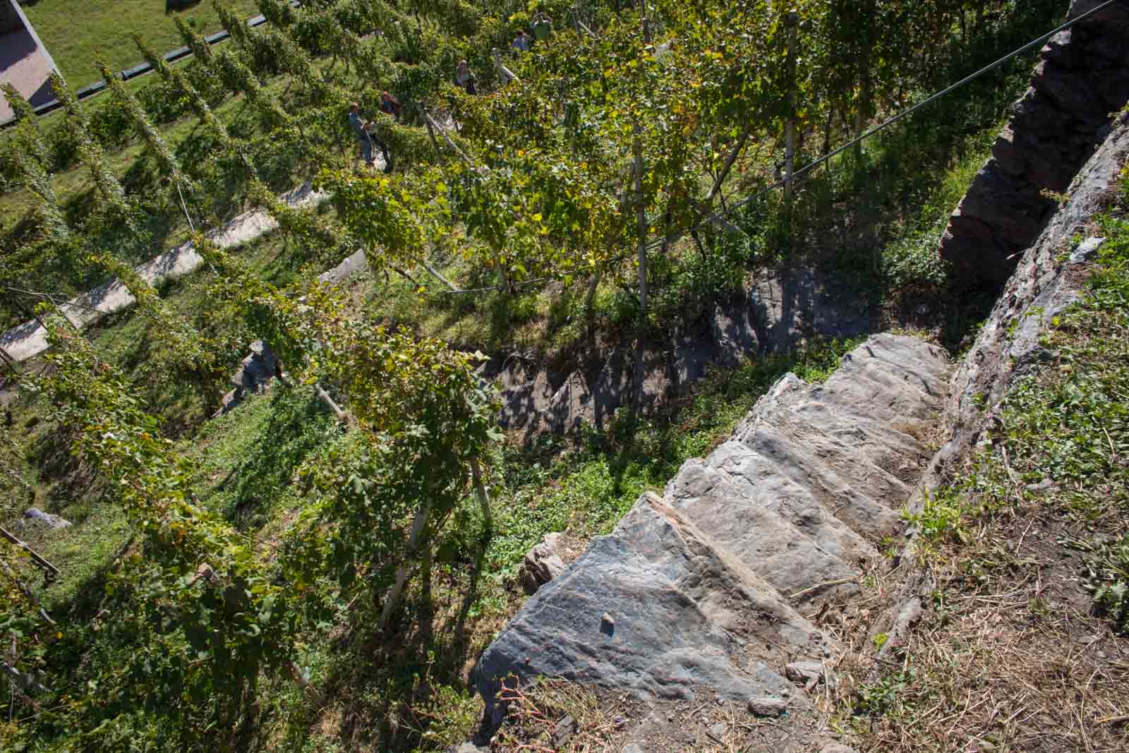 A typical vineyard in Valtellina might inspire thoughts of M.C. Escher. ©Kevin Day/Opening a Bottle