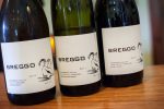 Breggo Winery tasting room, Boonville, CA