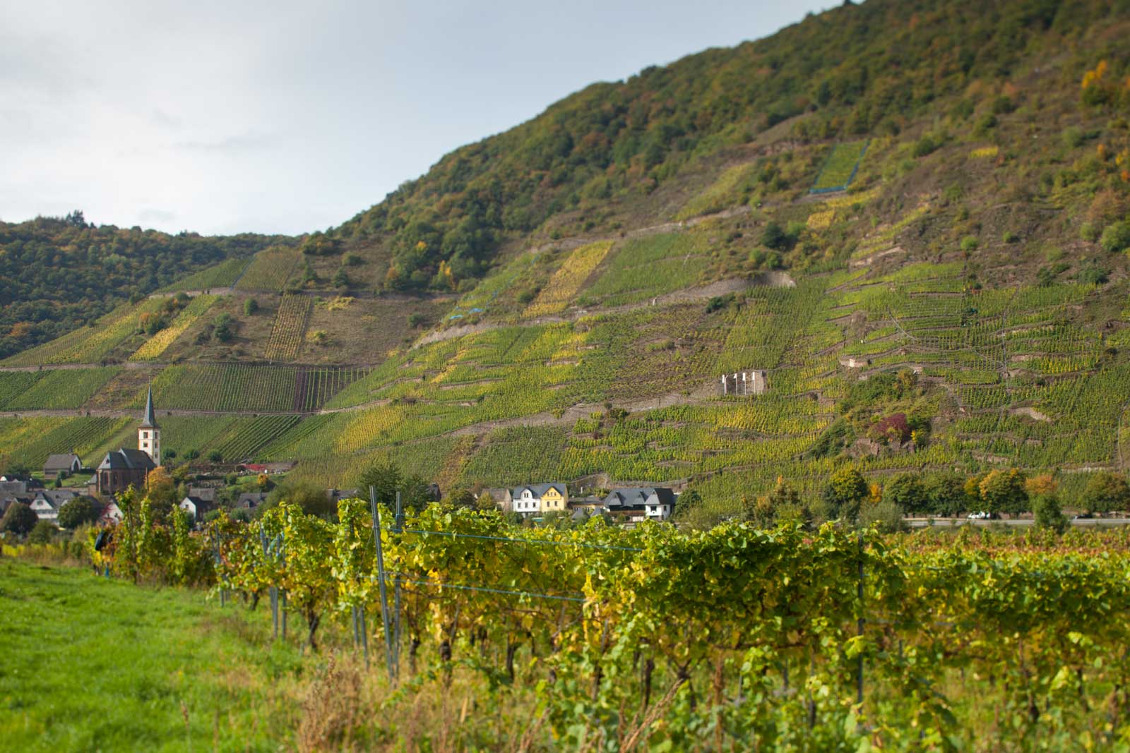 A view of the town of Bremm and the Bremmer Calmont vineyard. ©Kevin Day/Opening a Bottle