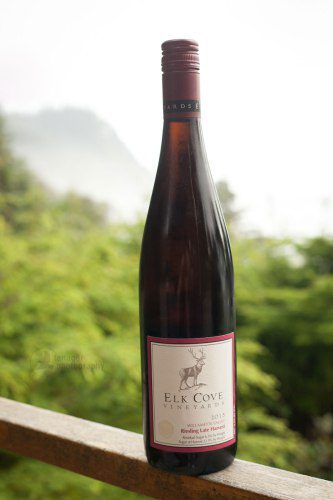 2013 Elk Cove Vineyards Riesling Late Harvest , Oregon white wine