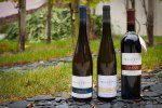 Walter J. Oster wines: Riesling and Spätburgunder