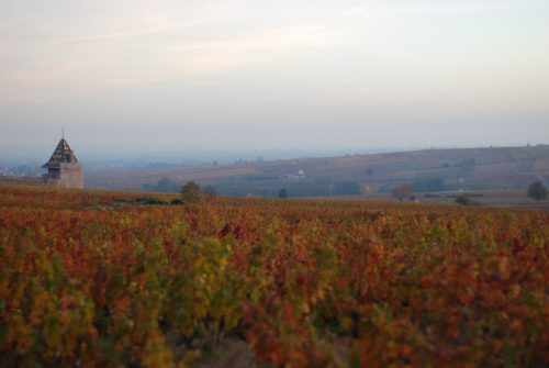 Moulin-à-Vent at dusk. ©Chateau du Moulin-à-Vent