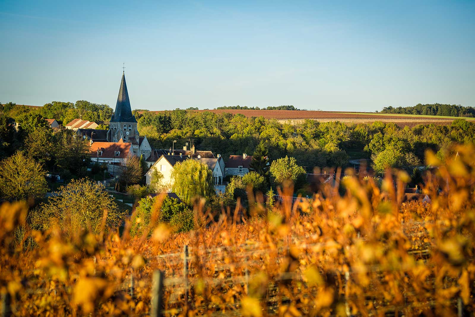 The village of Beine lies just west of the town of Chablis. ©BIVB – Bureau Interprofessionel des Vins de Bourgogne