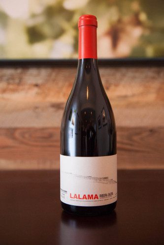 2010 Dominio do Bibei "Lalama" Ribeira Sacra