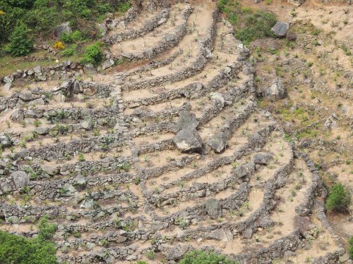 Vineyards of Dominio do Bibei, Ribeira Sacra DO