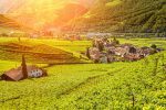 Beautiful sunset view over a vineyard in Bolzano Italy