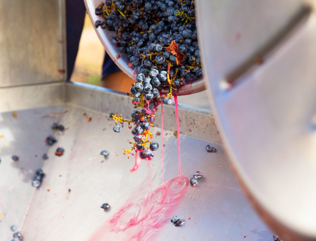 5 Reasons to Praise FruitDriven Red Wines Opening a Bottle