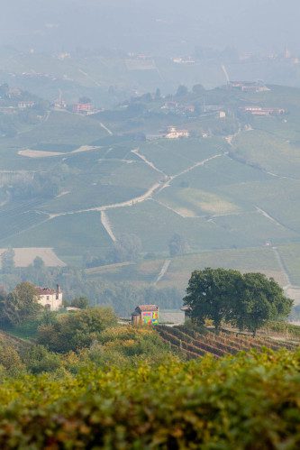 The Brunate Chapel crowns the Brunate vineyard (sloping down and away from the trees at right) below the town of La Morra.