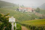 The Ravera Vineyard (Cru) outside Barolo, Italy. ©Kevin Day