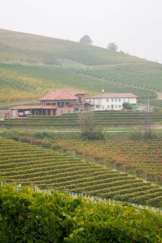 The Ravera cru of Barolo.