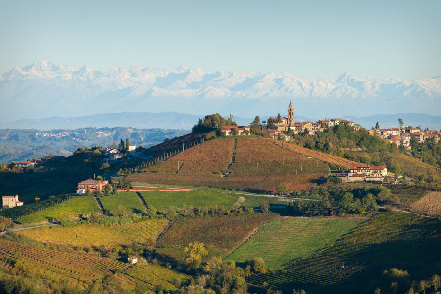 The view of Diano d'Alba from Montelupo Albese. ©Kevin Day/Tanager Photography