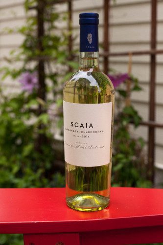 Tenuta Sant'Antonio Scaia Garganega-Chardonnay