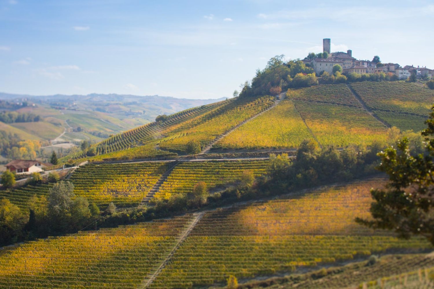 Castiglione Falletto and Barolo vineyards. ©Kevin Day/Opening a Bottle