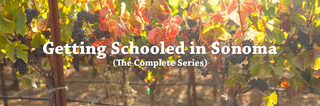 Getting Schooled in Sonoma – A Story by Kevin Day. ©Kevin Day