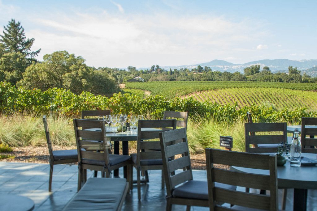 The view from the MacRostie Winery Tasting Room, overlooking Russian River Valley vineyards of Pinot Noir. ©Kevin Day/Tanager Photography