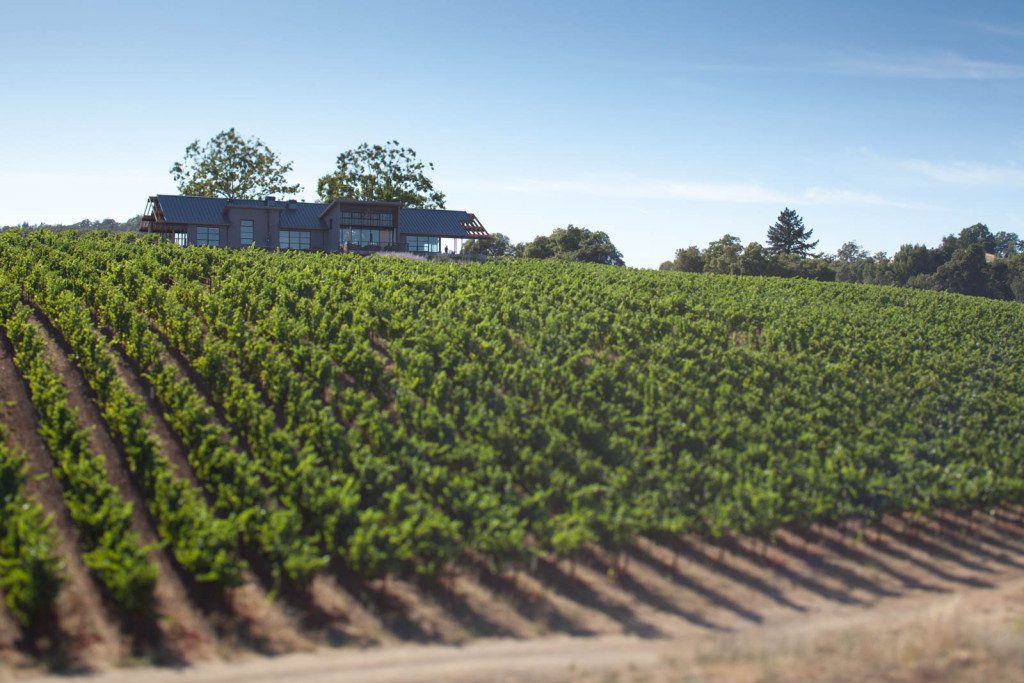 The MacRostie Winery & Tasting Room sits perched on a hill in Thale's Vineyard. ©Kevin Day / Opening a Bottle