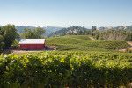 The view from the top of Fort Ross Winery's estate vineyard. ©Kevin Day / Opening a Bottle