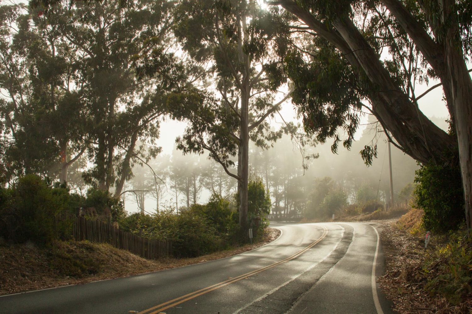 California Highway 1 in the fog near Fort Ross. ©Kevin Day/Opening a Bottle