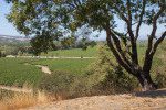 The view from Copain Wines Tasting Room just off Eastside Road. ©Kevin Day / Opening a Bottle