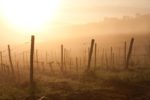 Spring time sunrise over Chianti, near Panzano, Italy and the Conca d'Oro