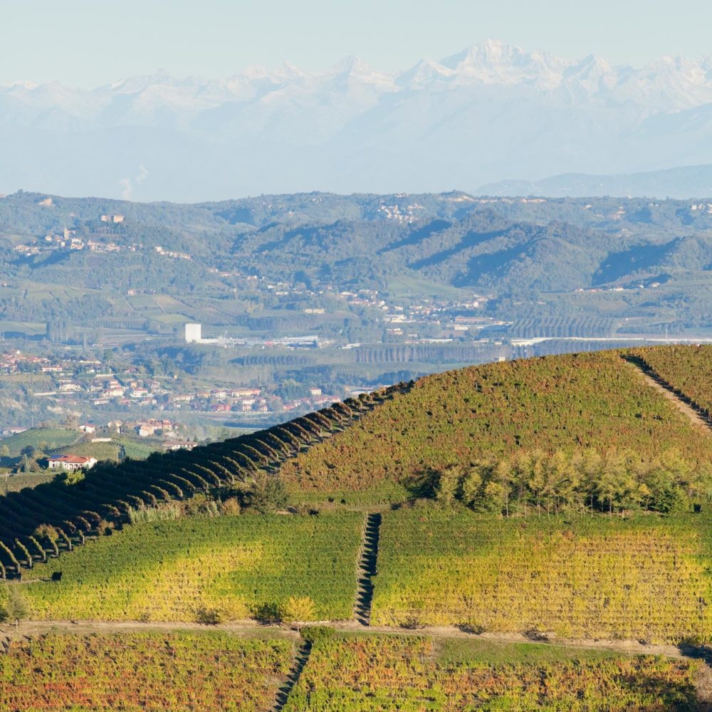 The rolling hills south of the Tenaro River in Italy's Piedmont