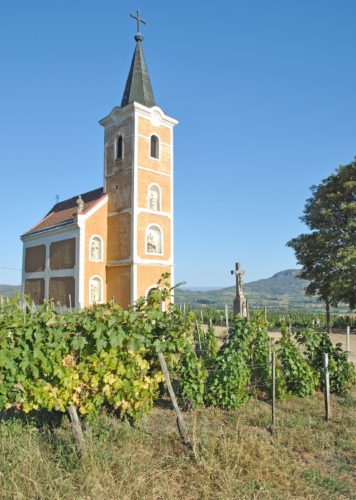 Church and vineyards, Szent György-hegy, Hegymagas, Hungary.