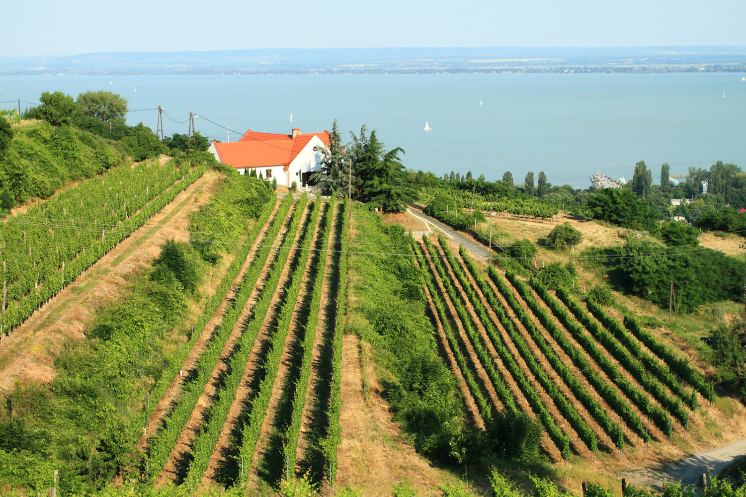 Landscape of the beautiful lake Balaton in Badacsony