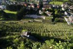 A view looking down from the Rocca de Piro castle at the vineyards of Ar.Pe.Pe. in the Grumello zone of Valtellina Superiore, Sondrio, Italy.