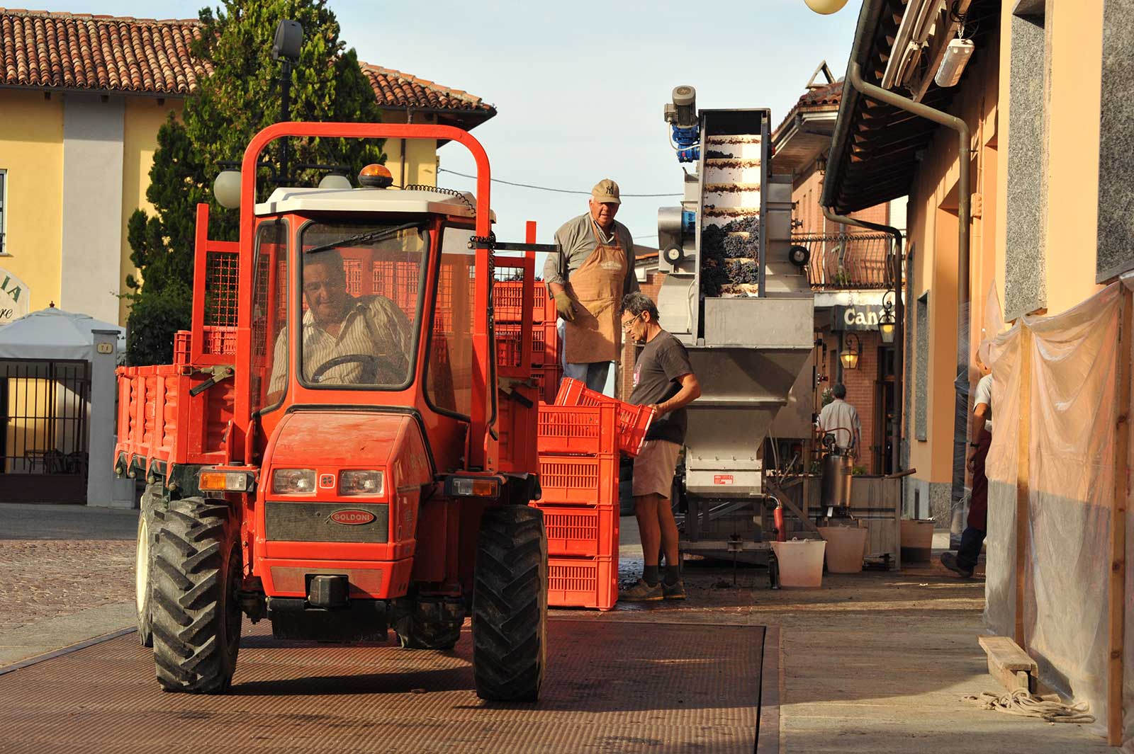 Bringing the grapes in from the vineyards. ©Produttori del Barbaresco