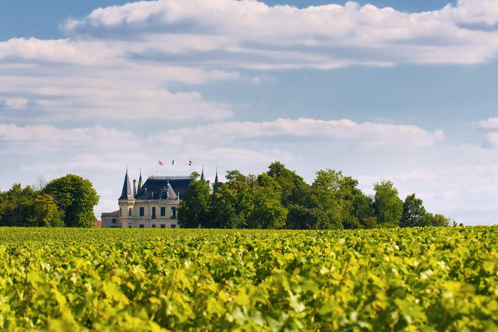 A chateau with vineyards in Margaux, Bordeaux, France