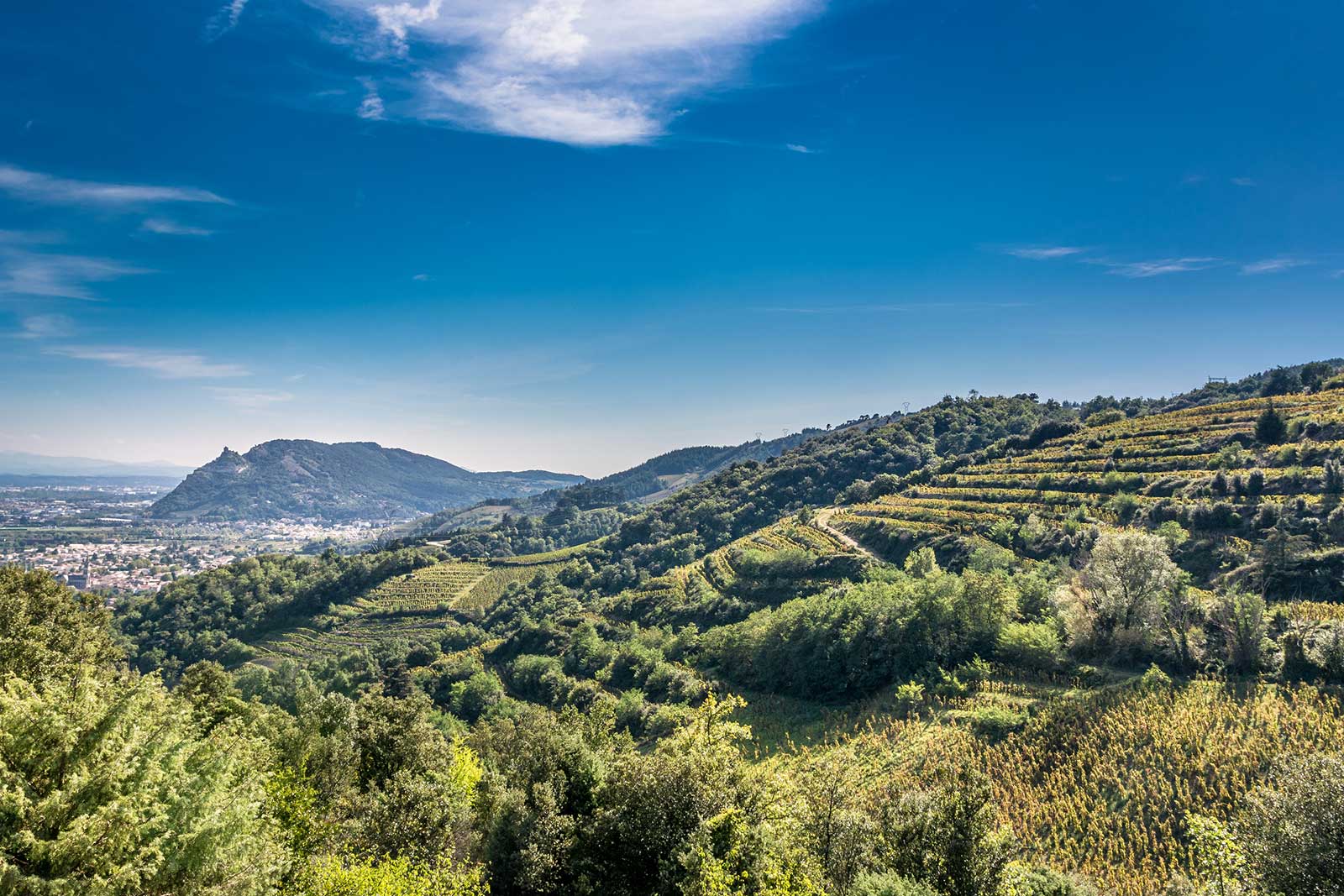 Saint Péray vineyards, France
